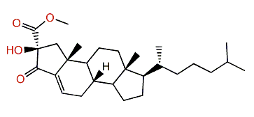 Phorbasterone B